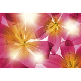 Fototapet floral Crini roz