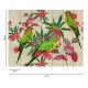 Fototapet design Papagali verzi - dimensiuni