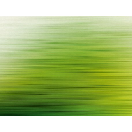 Fototapet verde - Reflexia padurii