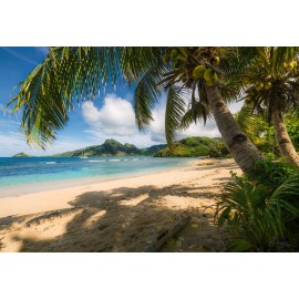 Fototapet Plaja Seychelles cu palmieri