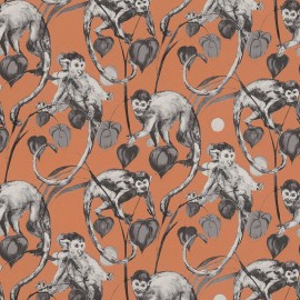 Tapet portocaliu cu maimute