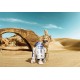 Fototapet Star Wars R2-D2 si C-3PO