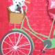 Perna rosie cu bicicleta verde - detaliu