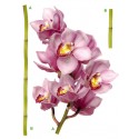 Decor perete Orhidee violet
