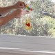 Stickere geam Winnie Pooh - usor de aplicat
